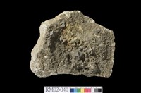 藏品(長石片岩)的圖片